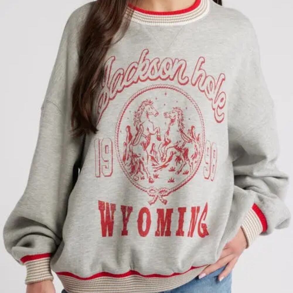 The Vinyl Icons Gray Jackson Hole Sweatshirt Sz XS